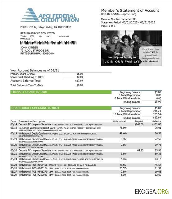 États Unis APCI Federal Credit Union relevé de compte Modèle Word et PDF